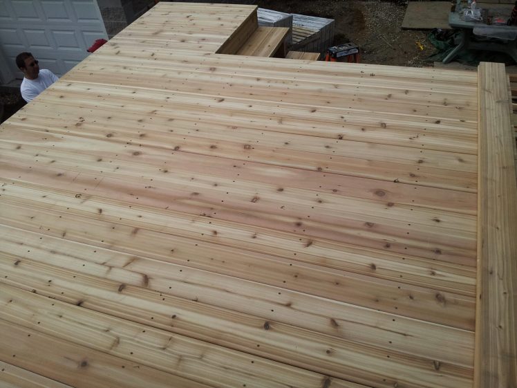 1039647_10201139743948599_1447441646_o